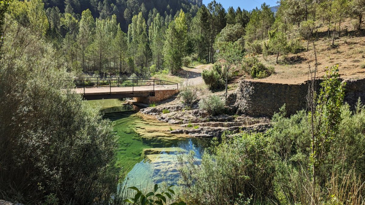 viajarporjaen's tweet photo. 📸 En agosto no paramos y seguimos mostrando la provincia de Jaén y hoy os mostramos fotos de los alrededores de la aldea de Huelga Utrera, perteneciente a Santiago-Pontones, en la Sierra de Segura.

Fotos: Admiración Vivo García

#huelgautrera #jaénparaísointerior https://t.co/vHWCnVTVN5