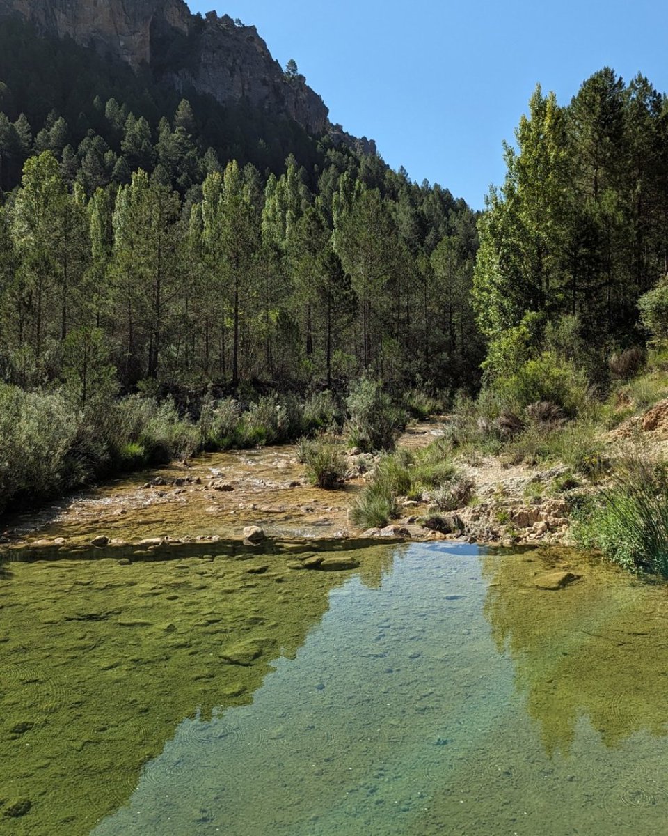 📸 En agosto no paramos y seguimos mostrando la provincia de Jaén y hoy os mostramos fotos de los alrededores de la aldea de Huelga Utrera, perteneciente a Santiago-Pontones, en la Sierra de Segura.

Fotos: Admiración Vivo García

#huelgautrera #jaénparaísointerior