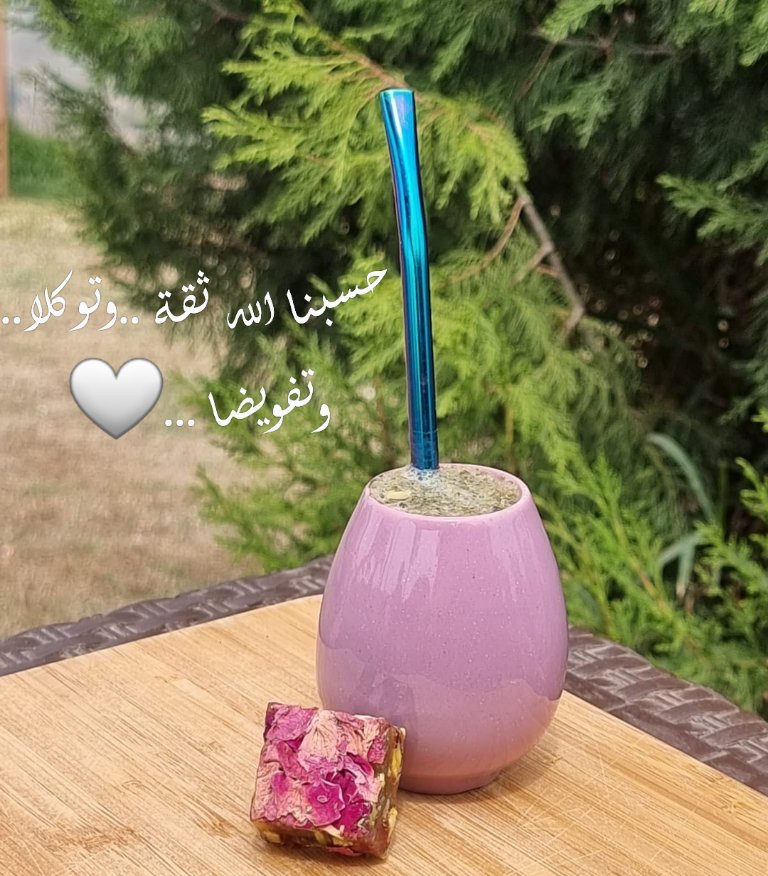 MalakAlshami1's tweet photo. من أجمل مدن المملكة 🌸الباحة 🌸 2022
#الباحة  
#غابة_رغدان
#بلجرشي 
#رغدان https://t.co/FJ1VVpwFs7