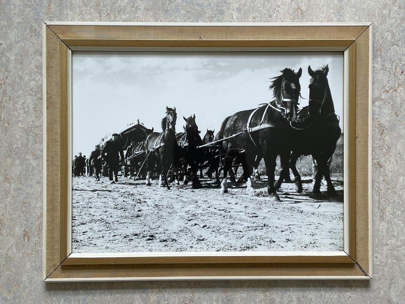 44 jaar geleden
persbureau-ameland.nl/44-jaar-geleden