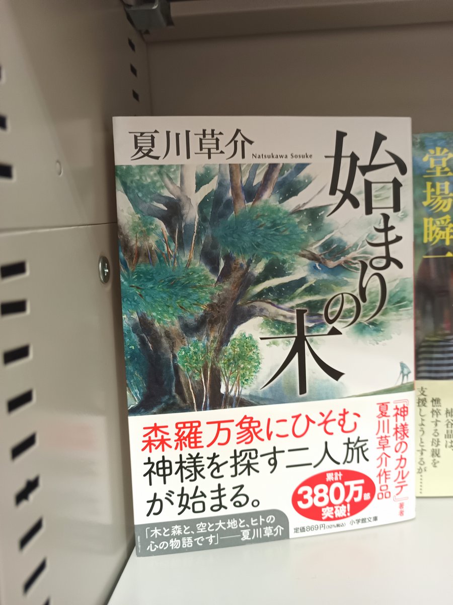 scrum_oodate's tweet photo. 【文庫情報】
近日入荷した新刊です。
・うるはしみにくしあなたのともだち (双葉社)
・始まりの木 (小学館)
・水族館メモリーズ (実業之日本社)
・新・若さま同心 徳川竜之助 一 象印の�� <新装版> (双葉社)
・陽眠る (角川春樹事務所)
ご来店お待ちしております! https://t.co/FtVyNrGnXP