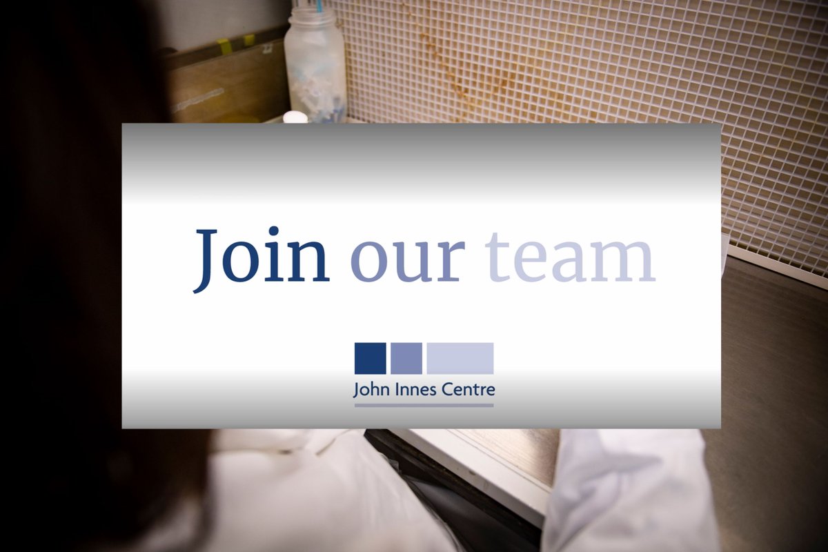 John Innes Centre (@johninnescentre) on Twitter photo VACANCY - We're looking for a Postdoctoral Researcher in Bioinformatics to join the <a href="/Saunders_Lab/">Diane Saunders</a>, working in the field of plant disease diagnostics
Closing date - 23 August 2023
Salary - £35,300 - £43,750
Contract - 2 years, full-time
okt.to/4N8GFb
<a href="/NorwichResearch/">Norwich Research Park</a> VACANCY - We're looking for a Postdoctoral Researcher in Bioinformatics to join the <a href="/Saunders_Lab/">Diane Saunders</a>, working in the field of plant disease diagnostics
Closing date - 23 August 2023
Salary - £35,300 - £43,750
Contract - 2 years, full-time
okt.to/4N8GFb
<a href="/NorwichResearch/">Norwich Research Park</a>