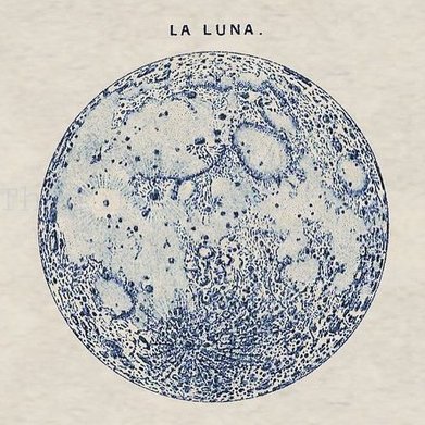 bellalunaestela tweet picture