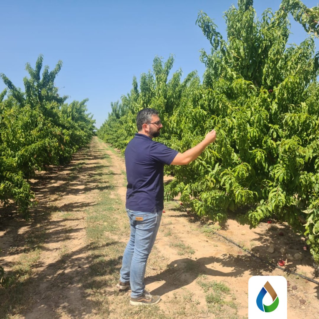 WiseconnEurope's tweet photo. Come gli agricoltori possono garantire una migliore gestione delle risorse in campo?🌱 Perché una nuova soluzione dovrebbe risultare migliore rispetto a quelle già conosciute e adottate da anni?📱
Contattaci per conoscere da vicino il nostro sistema brevettato #DropControl! 👇 https://t.co/z15mPdsOnu