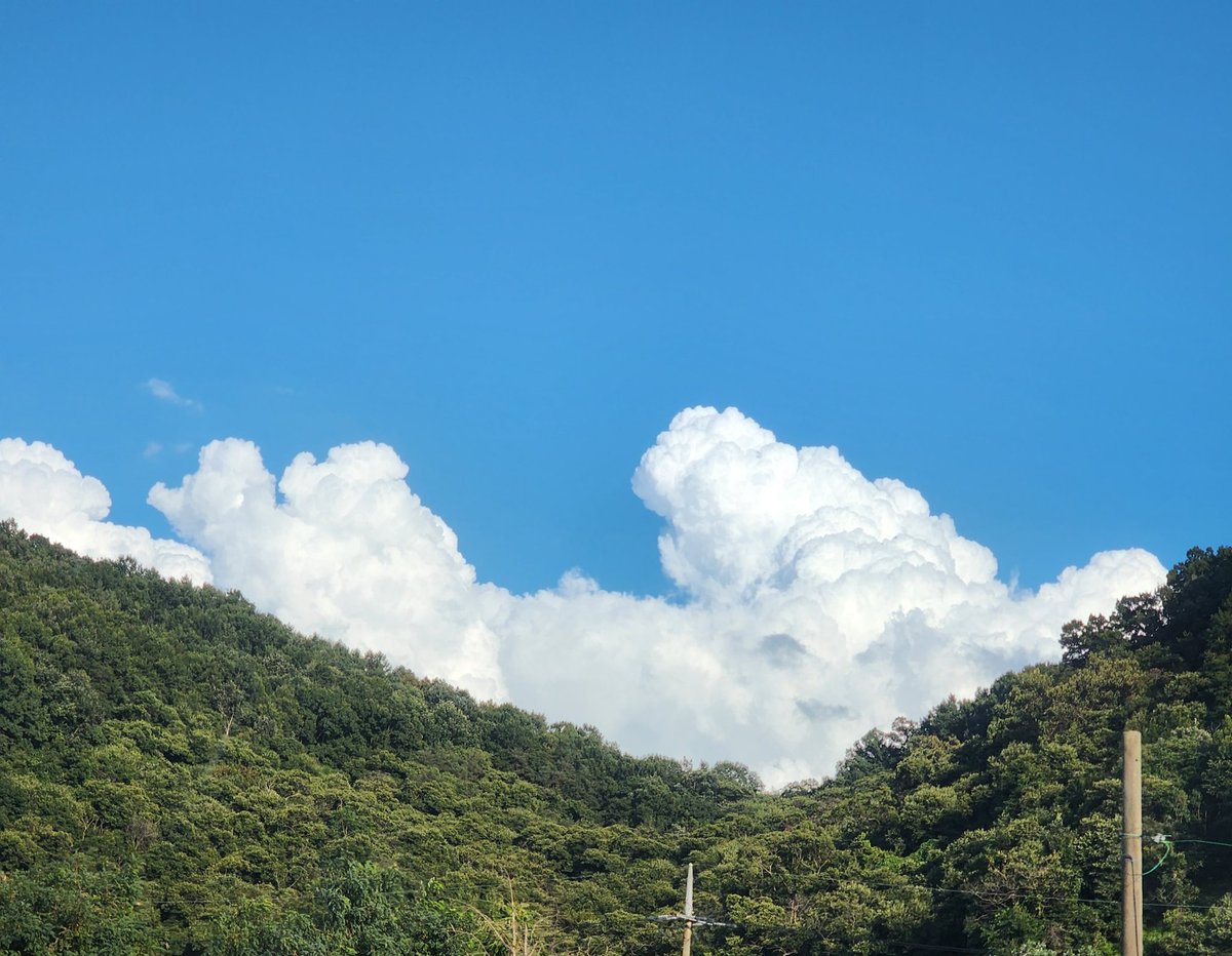 오늘 하늘 예쁘던데 보기는 했는지
#SF9 #에스에프나인 #HWIYOUNG #휘영 #Drive5 #오늘_휘영_떠올렸어