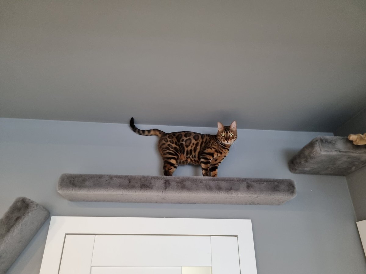 Rafał Szunejko tweet media