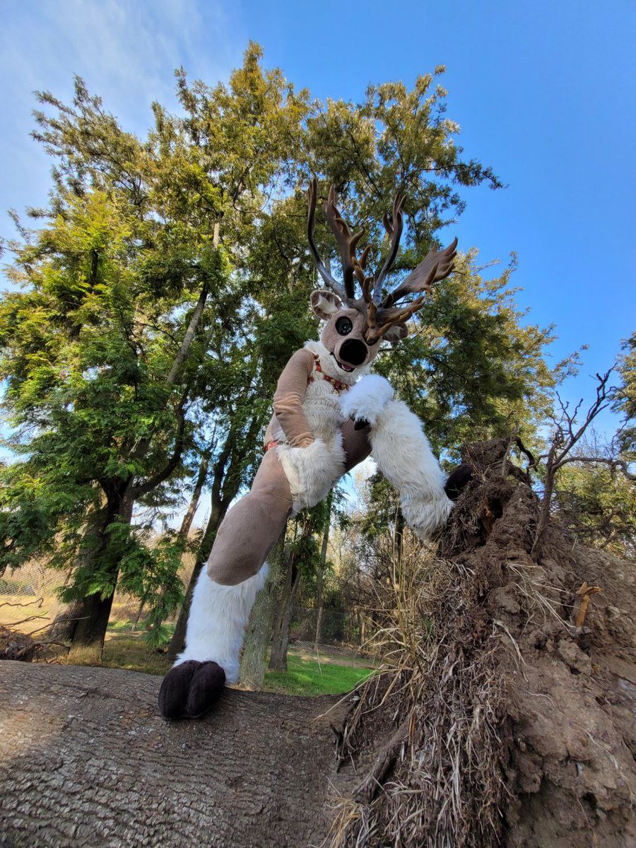 More amazing images to share forn

#ponybuttmonday &amp; #micromonday

📷 <a href="/061_sedecrem/">the yeen</a> 
📌 Delta park, Johannesburg, South Africa