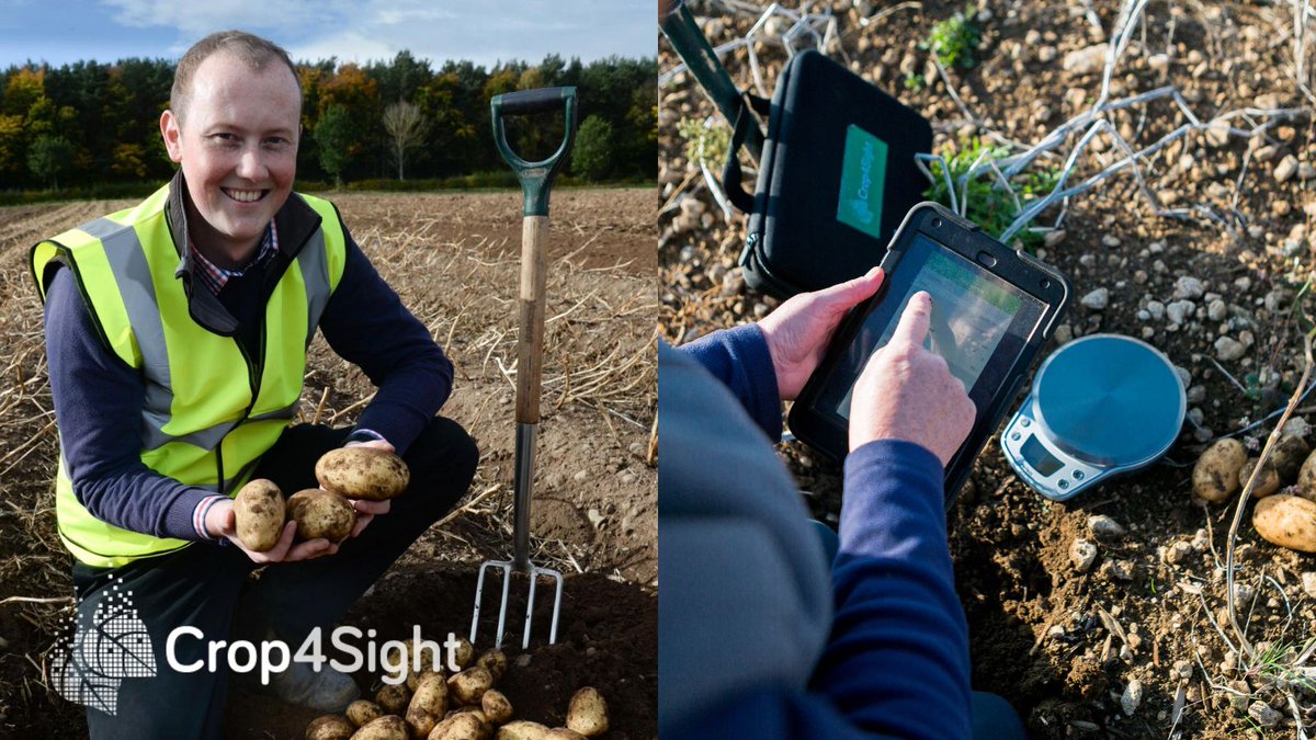 Crop4Sight tweet media