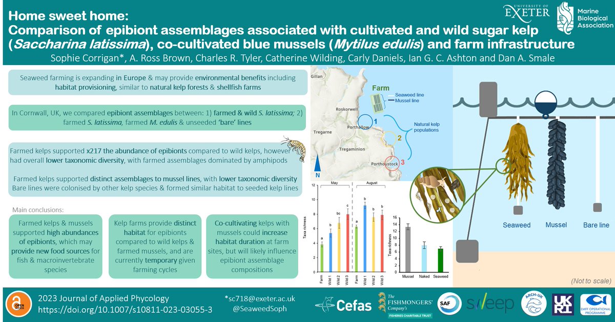 ✨🌱NEW PAPER!🌊✨ Do seaweed farms provide habitats for epibionts that compare to wild kelps or mussel farms? 🦐👩‍🌾🏡 It's available open access in @JAPhycology here: doi.org/10.1007/s10811…