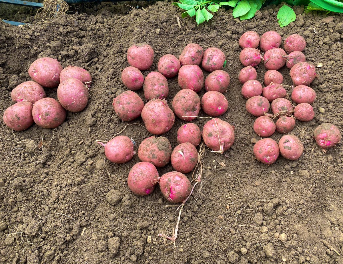 EASTERN SEED GROWERS tweet media