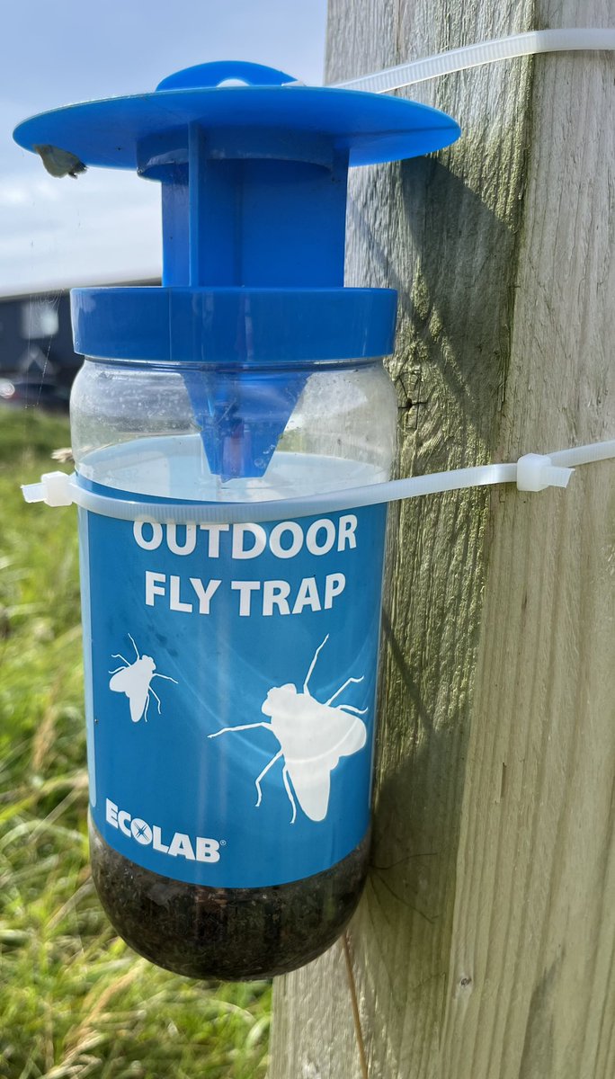 Irish bees are a protected species (listed on the NPWS Red list) These traps need to be outlawed! Please help..@the_beeguy @The_BeeGirl #ecocide