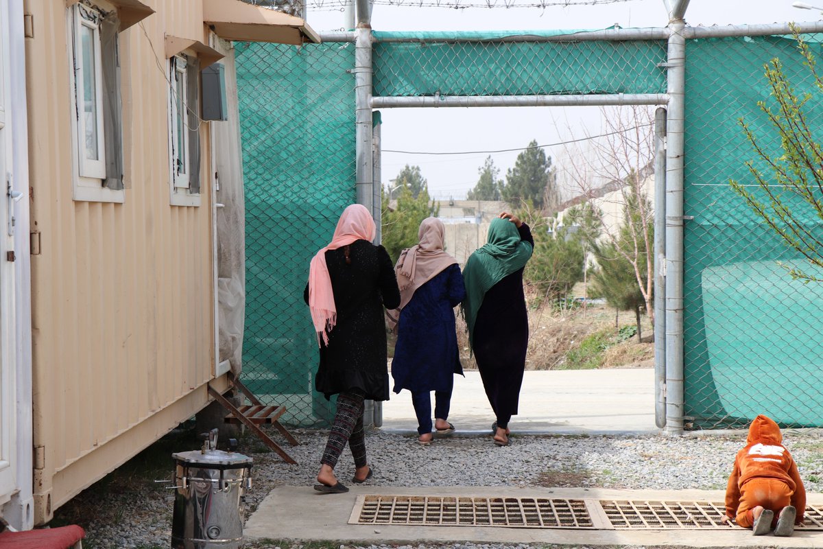 frontline_nego's tweet photo. Amidst challenges in #Afghanistan 🇦🇫 , Afghan women are not waiting for negotiated solutions – they're driving change.
The #CCHN organised a negotiation training for humanitarians, including 40 women who are leading civil society and local organisations’ efforts in the country. https://t.co/COp0hLqaR7