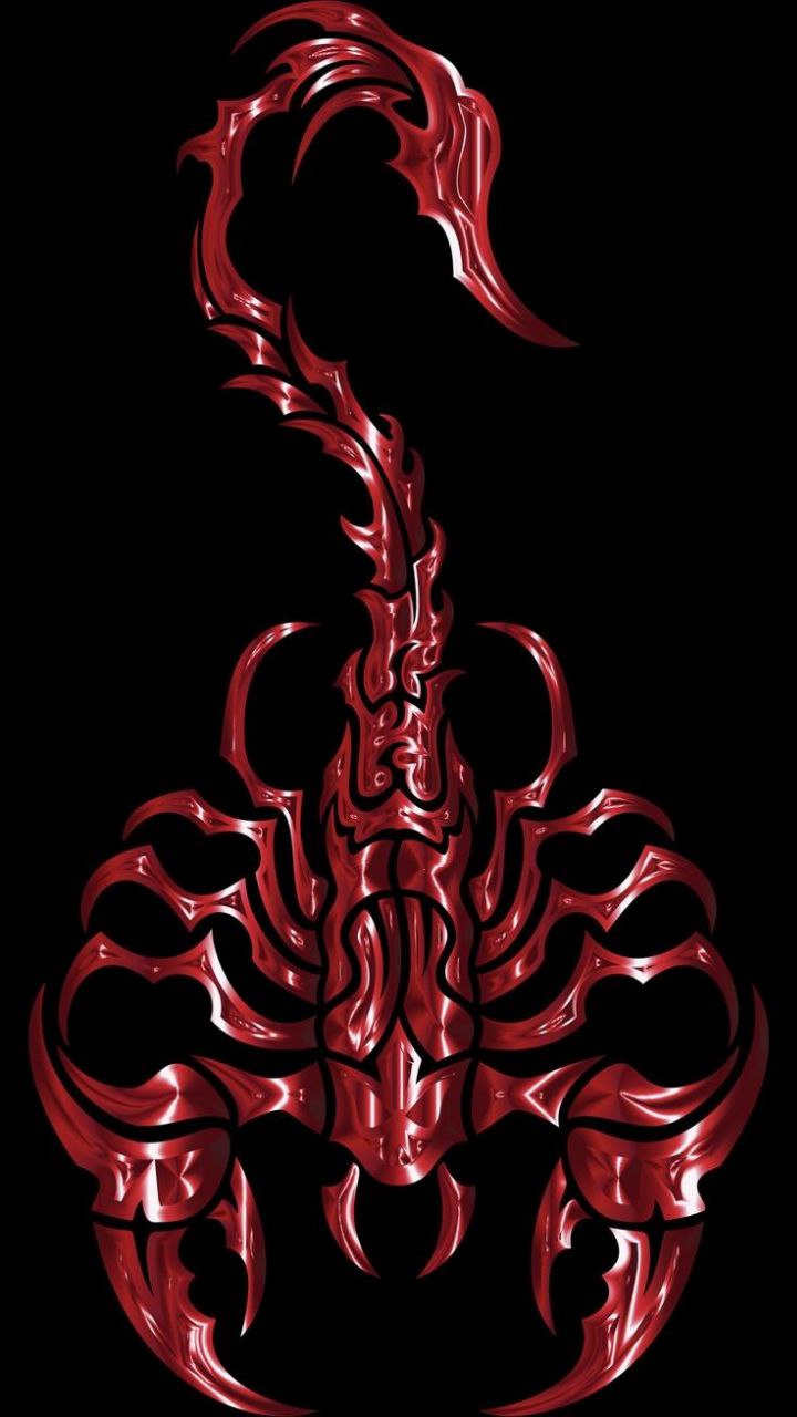 10+ Scorpion HD Wallpapers and Backgrounds