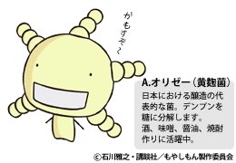 @umo_makura 