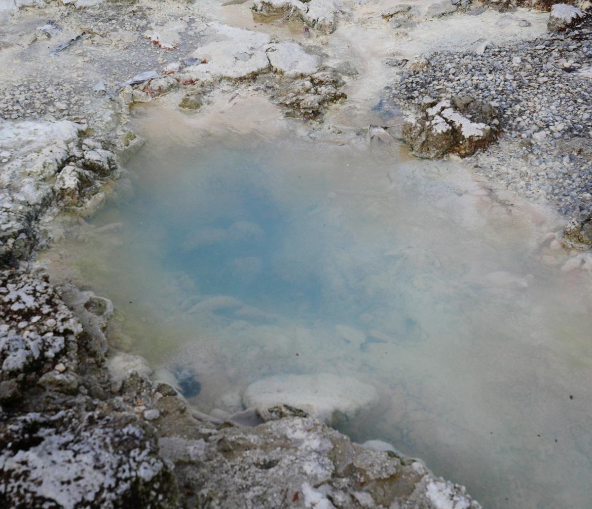Loguteva's tweet photo. Rotorua is like another planet. https://t.co/HrL6bBoIKJ