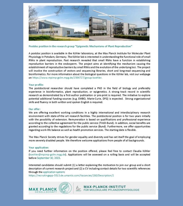 📢 Postdoc position available in Epigenetic Mechanisms of Plant Reproduction at Max Planck Institute for Molecular Plant Physiology in Potsdam, Germany🇩🇪; focusing on small RNAs in plant reproduction. Read more and apply here: wp.me/pbv48T-6Qg