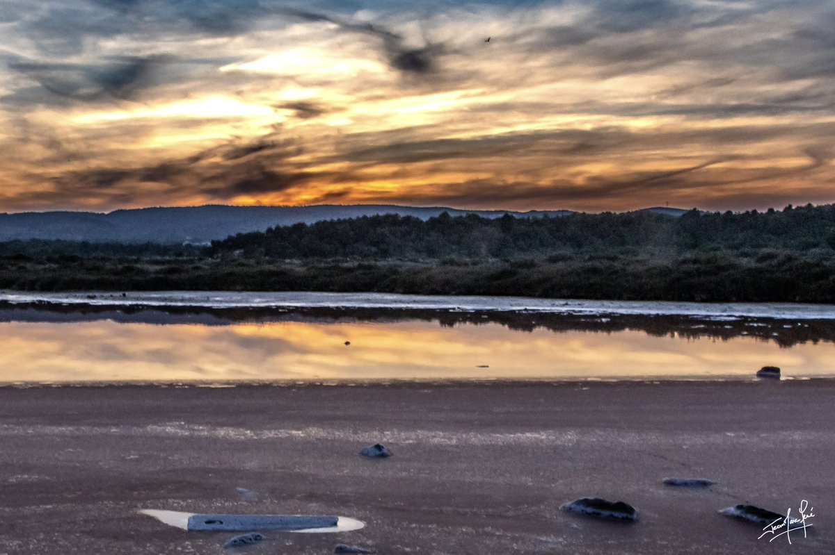 Les fins de journée sont remplies de calme entre étangs et mer. 

#bages #bagesdaude #aude #audetourisme #jaimelaude #cotedumidi #cotedumidi_officiel #occitanie #languedoc #sunset #paysage #landscape #color #nature #wild #photography #photographie #photo #photographer #canon