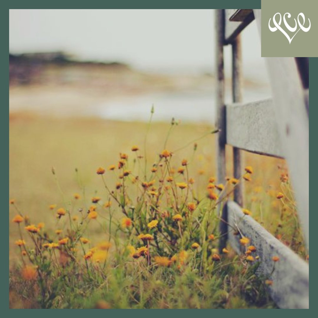 Happy Monday, I hope you have a great week planned! I have fab things going on this week including  heading to London to meet a new client and a possible collaboration opportunity,  chatting with suppliers and looking for a great ski resort hotel for 8 people in March ⛷!