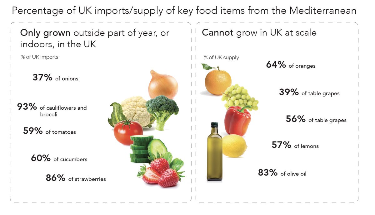 In 2022, 🇬🇧 imported around 1/2 food: 37bn kg, worth £58bn 25% these food imports – 9.8bn kg, worth just over £16bn – came from the Mediterranean region, where #climate-driven extreme weather has hit food production hard *NEW* ECIU report: bit.ly/3KzULnF