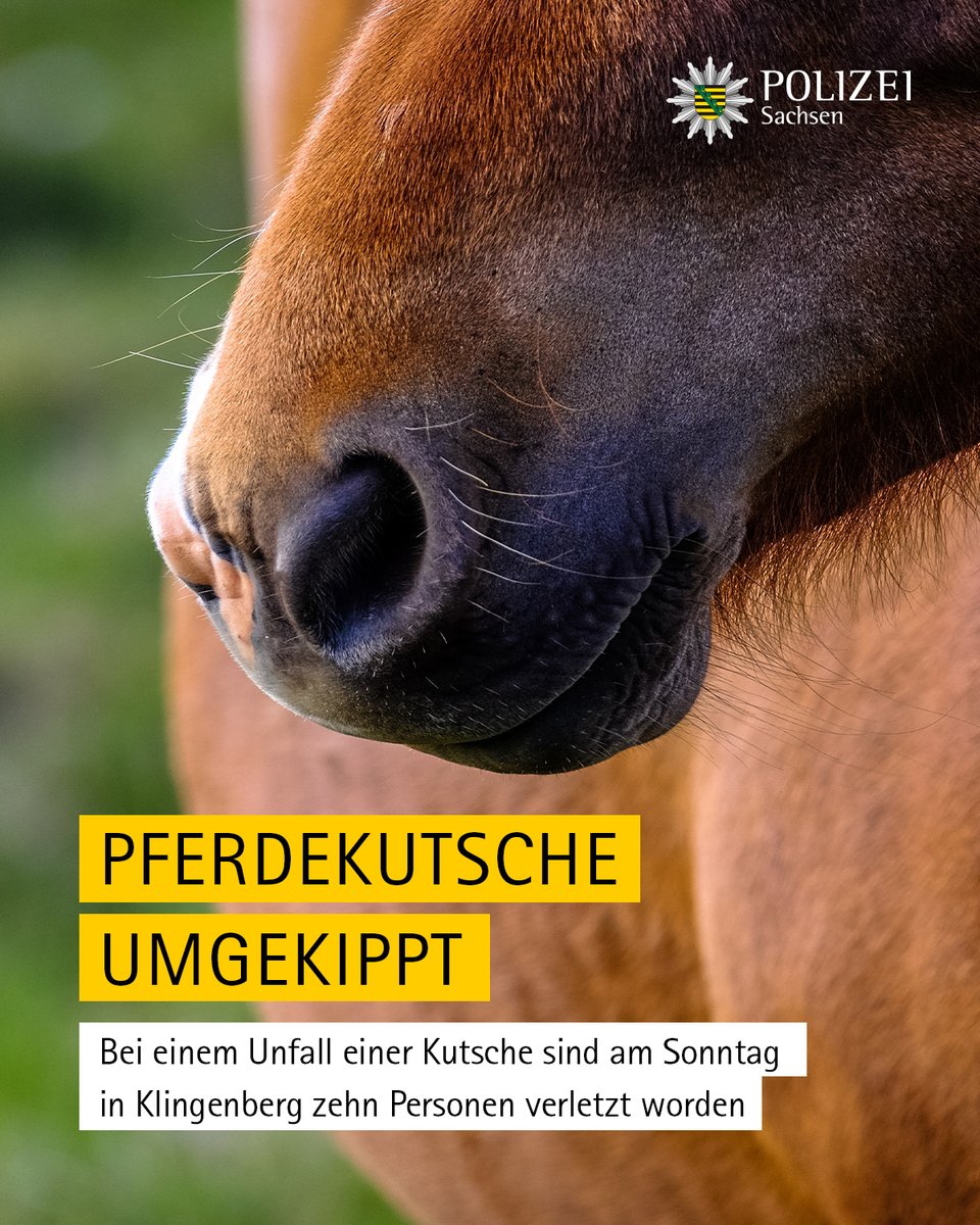 PolizeiSachsen's tweet photo. Auf der Kutschfahrt in Richtung #Colmnitz überließ der Kutscher einem 8-Jährigen die Zügel. Das Gespann kam vom Weg ab & kippte um. Ein Alkoholtest ergab beim 34-Jährigen einen Wert von mehr als 1,3 Promille.
Alle Meldungen der Polizeidirektion #Dresden: https://t.co/gkejTfbAHh https://t.co/JskmJDXJVK