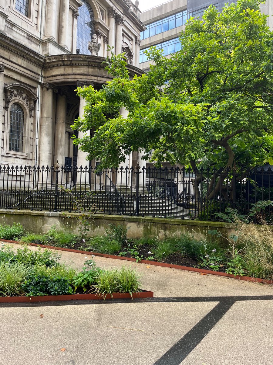 Stephen Bush tweet media