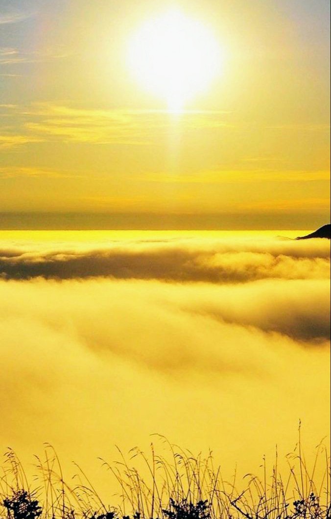 ☀️ 🇨🇵