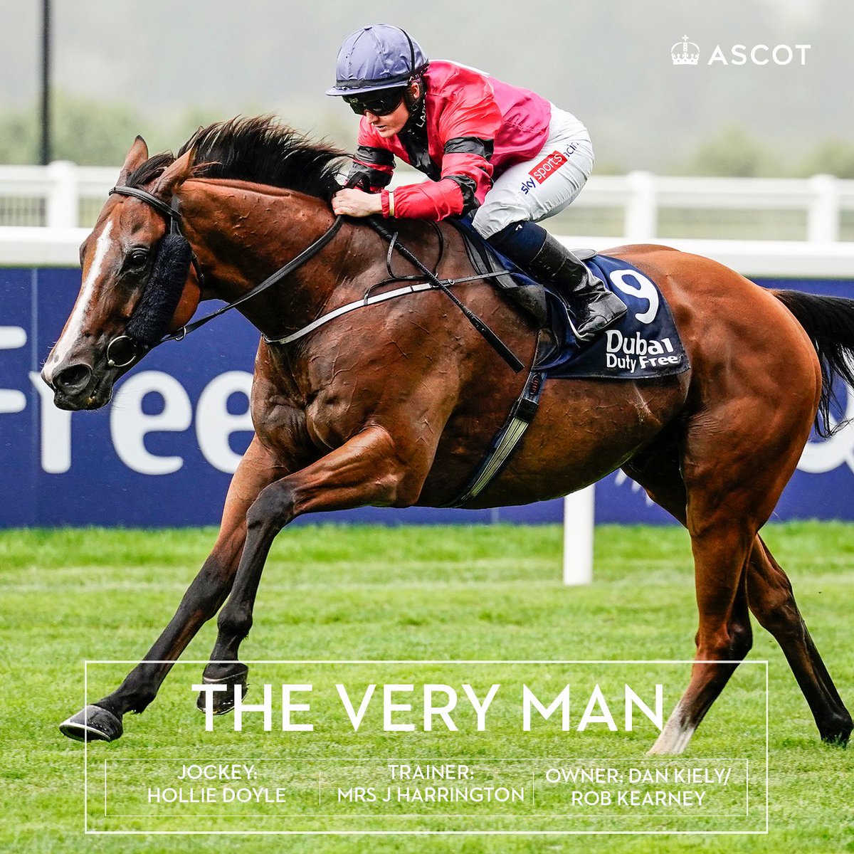 Jessica Harrington (@jessica_racing) on Twitter photo Delighted to have a winner <a href="/Ascot/">Ascot Racecourse</a> on Saturday 🏆
‘The Very Man’ winning the <a href="/DubaiDutyFree/">Dubai Duty Free</a> Stayers Handicap at the Shergar Cup Meeting! 👑
Congratulations to his owners Dan Kiely and Rob Kearney 🥂
Ridden by <a href="/HollieDoyle1/">Hollie Doyle</a> 👏 Delighted to have a winner <a href="/Ascot/">Ascot Racecourse</a> on Saturday 🏆
‘The Very Man’ winning the <a href="/DubaiDutyFree/">Dubai Duty Free</a> Stayers Handicap at the Shergar Cup Meeting! 👑
Congratulations to his owners Dan Kiely and Rob Kearney 🥂
Ridden by <a href="/HollieDoyle1/">Hollie Doyle</a> 👏