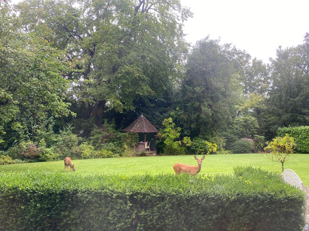 Simon Varley tweet media