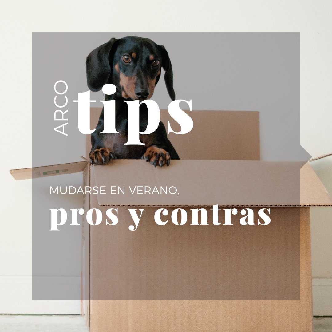 ArcoValoracion's tweet photo. #ARCOTips
El #verano es temporada alta de #mudanzas. ¿Planeas cambiar de #vivienda en este periodo? Estos son los pros y contras🚚📦📚🛋️🪑⤵️⤵️⤵️
🏠https://t.co/WTDmUrm9qo
#TasaciónViviedas #TasacionesHipotecarias #TasaciónInmuebles https://t.co/h7Sh4ptRp2