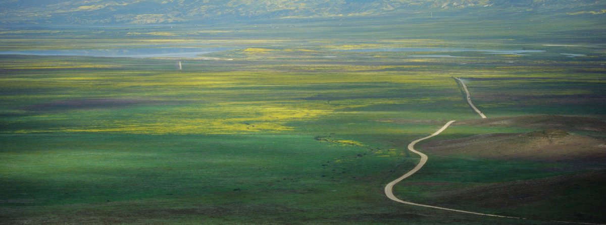 eamonsphotoss's tweet photo. the roads less traveled https://t.co/nGYRPLCrAU