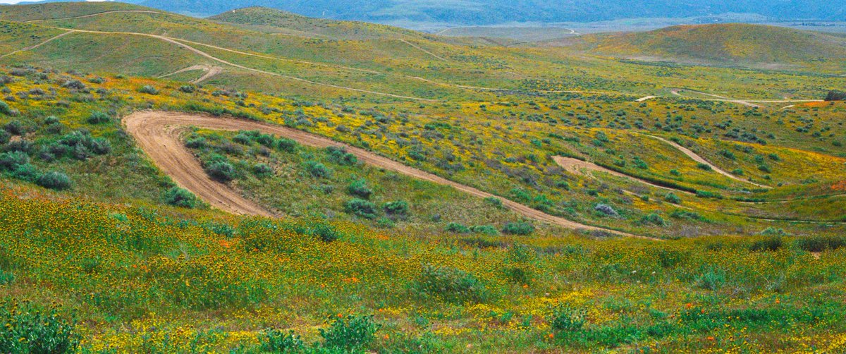 eamonsphotoss's tweet photo. the roads less traveled https://t.co/nGYRPLCrAU