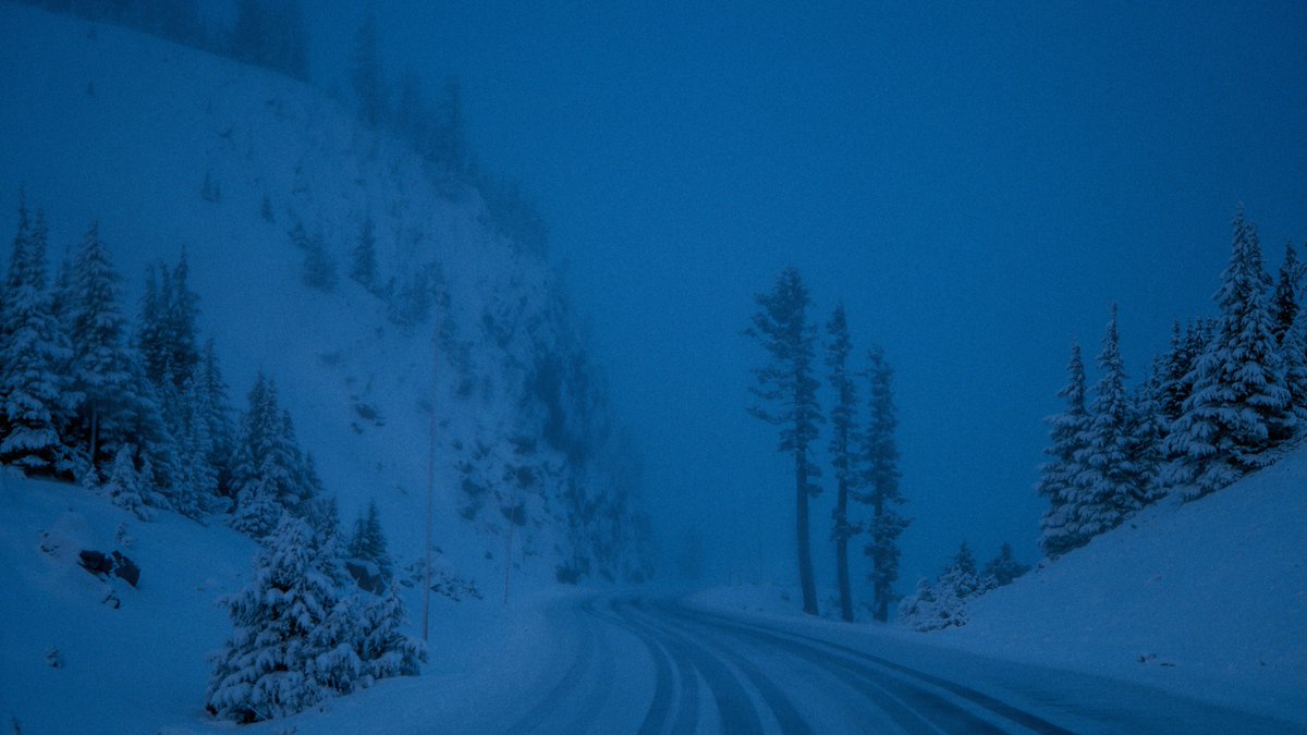 eamonsphotoss's tweet image. color therapy