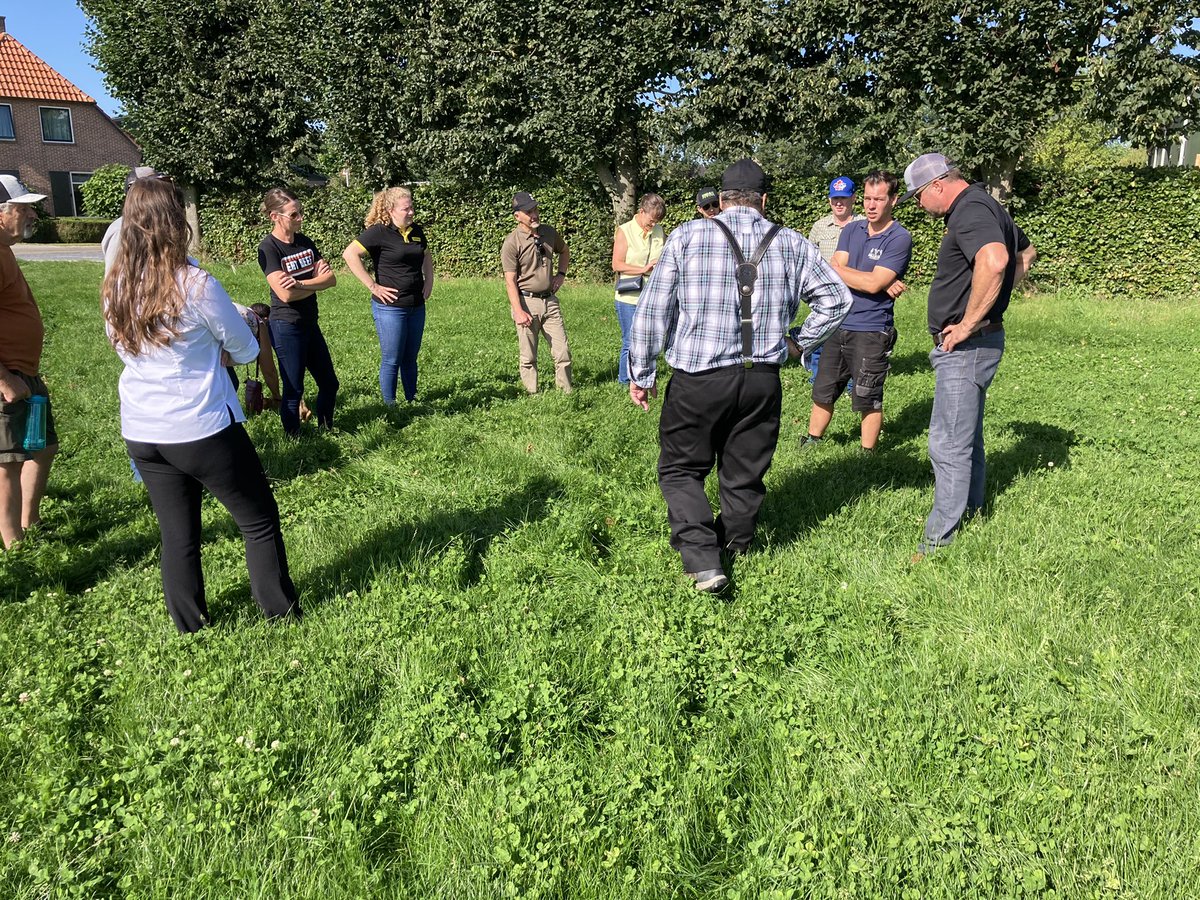 GraemeFinn1's tweet photo. Looking at Dairy pasture that is silage and grazing for 10years @grassncows @bekkrause @BarenbrugGroup @lazymbarranch https://t.co/toOZU34LHe
