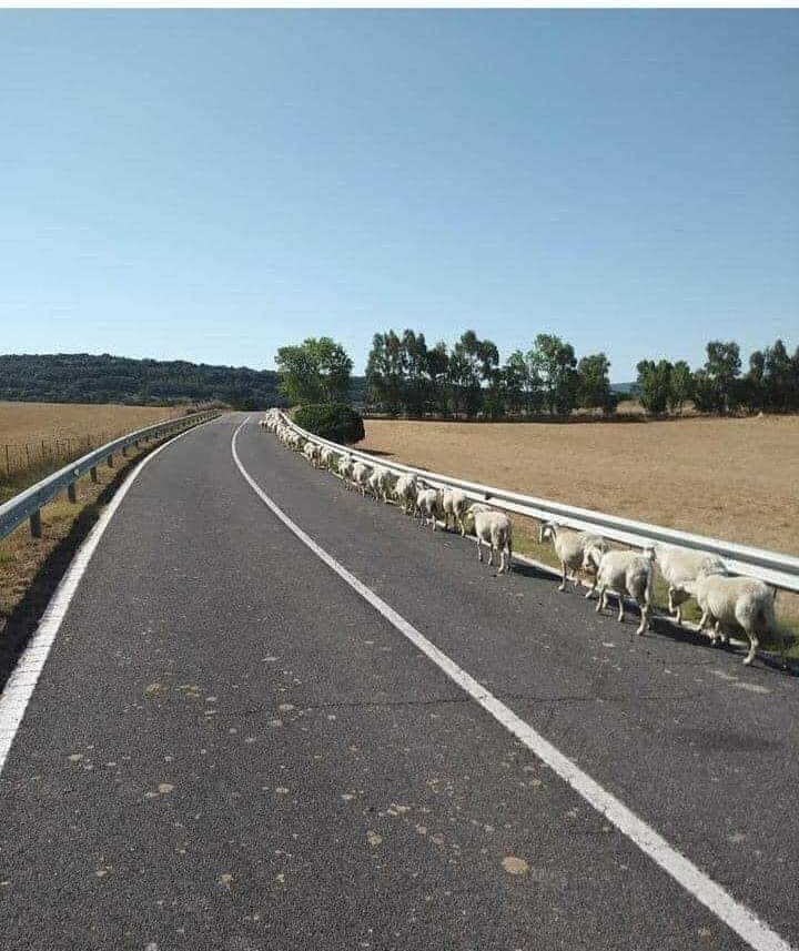 Amigos ciclista, reparem como se faz...