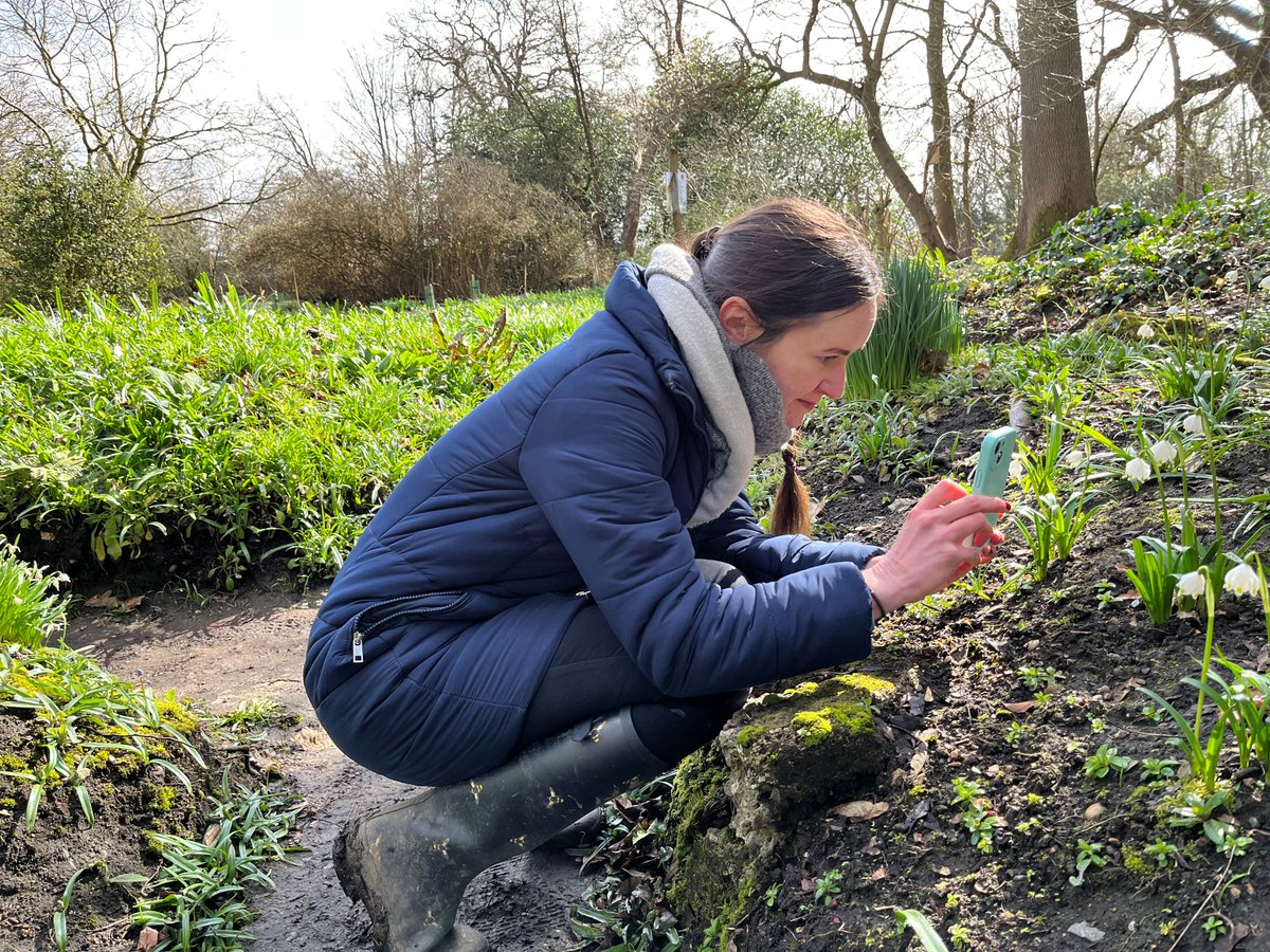 Take a stroll this lunchtime and see how many wildflowers you can spot? 🌸

Upload photos of them to the iNaturalist app to take part in #TheEssexBioBlitz! 

Take 30 before 30 September to be in with a chance of winning a prize 👉 bit.ly/3Tf6Ce9