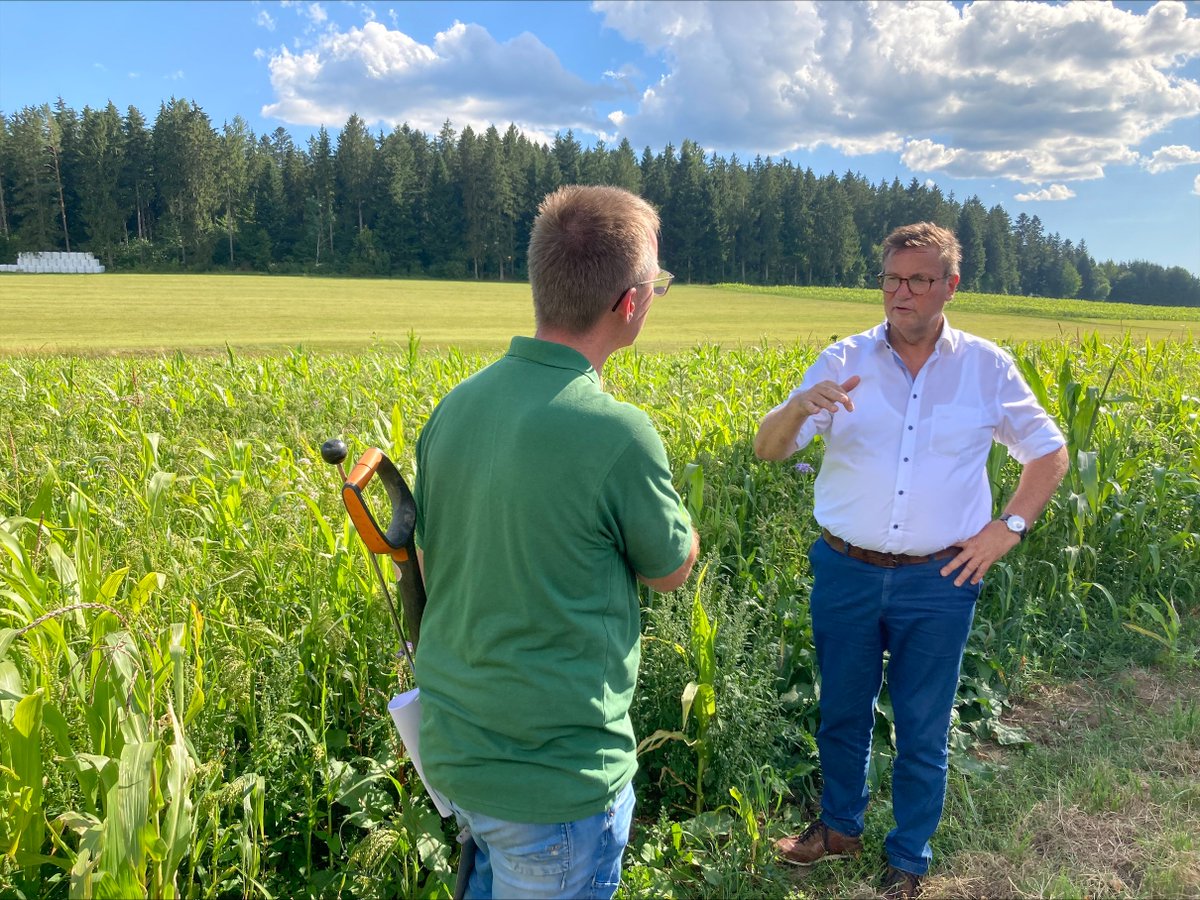 bioverband_de's tweet image. Peter Hauk, Landwirtschaftsminister Baden-Württemberg, besucht den Bioland zertifizierten Haslachhof: #Bio-Landwirt Wolfram Wiggert präsentiert das von uns und @Bauern_Verband geleitete Projekt #HumusKlimaNetz und die umgesetzten Maßnahmen zu langfristigem #Humusaufbau und-erhalt