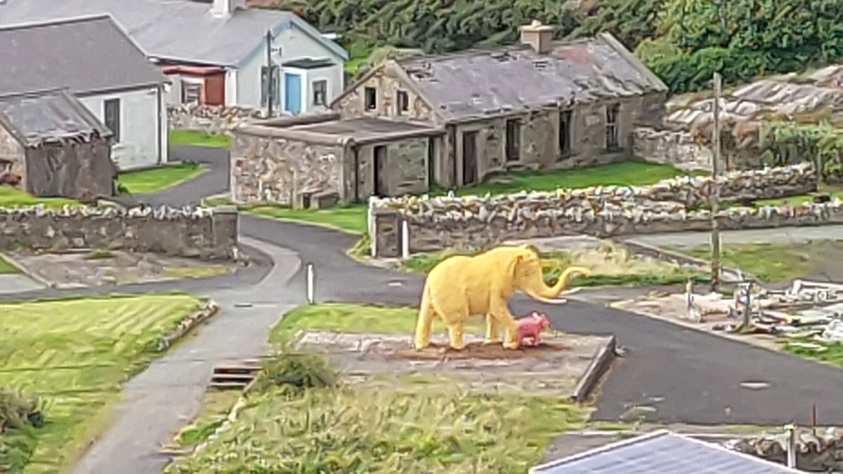 Biggest white elephant in Ireland standing at Fort Dunree Co Donegal. Part of art event.
Fully mobile, 
I want to take it to #Stormont #whitelephant