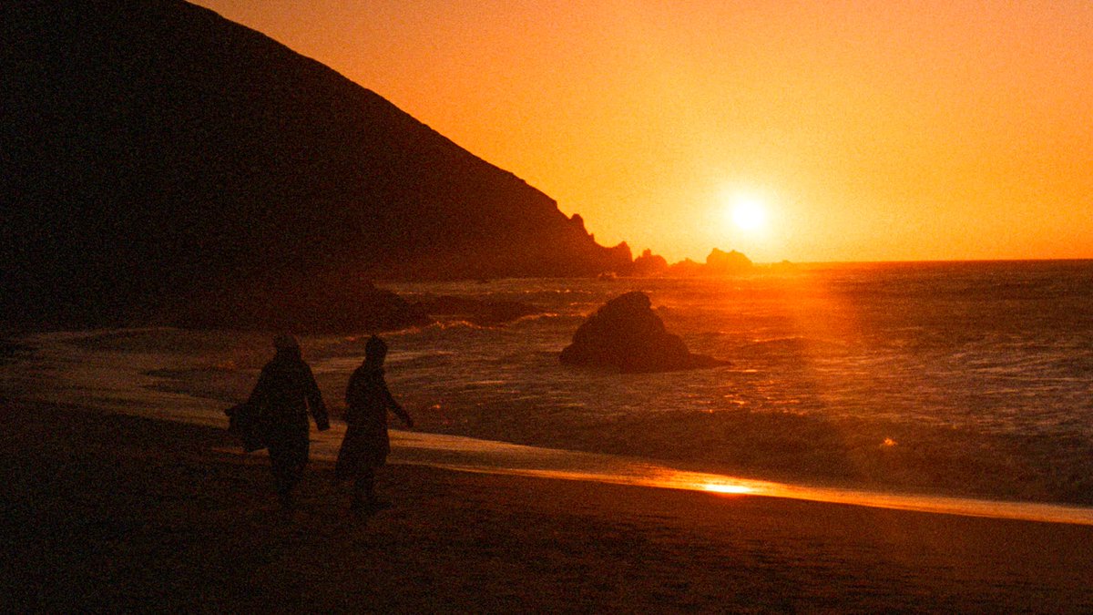 eamonsphotoss's tweet image. color therapy