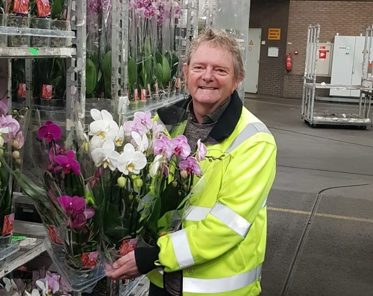 'Huilen op de tuin is lachen op de klok!' Dat zien we vaker: als de prijzen op de klok goed zijn, hebben kwekers vaak minder productie. Veilingmeester Planten Erik Boland ziet bij de bloeiende kamerplanten zulke goede prijzen dat het wel voorjaar lijkt!
royalfloraholland.com/nieuws-2023/we…