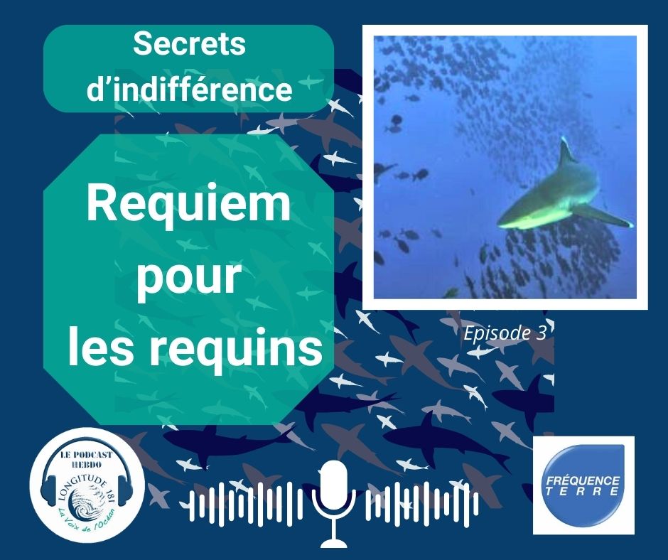 Longitude181 tweet media