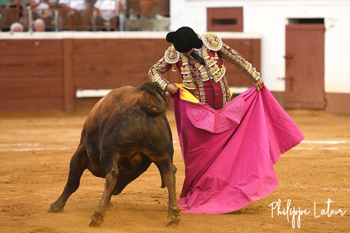 Dorian Canton tweet media