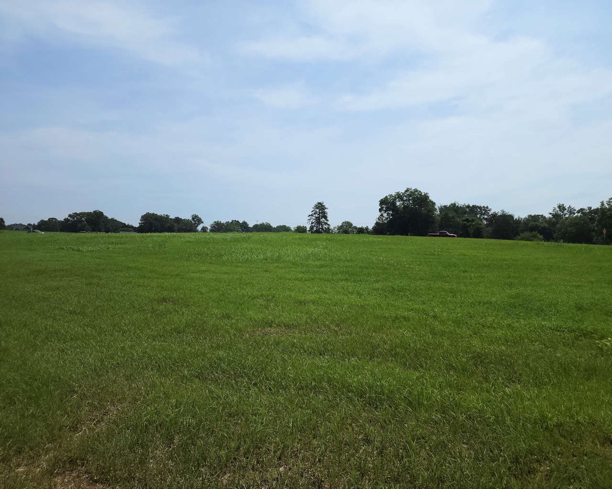NEW LISTING - 17.69 +/- acres on Hwy 252 in Ware Shoals.  Nice single family home site with acreage with pasture, mature hardwoods and a creek. $13,000/ac.