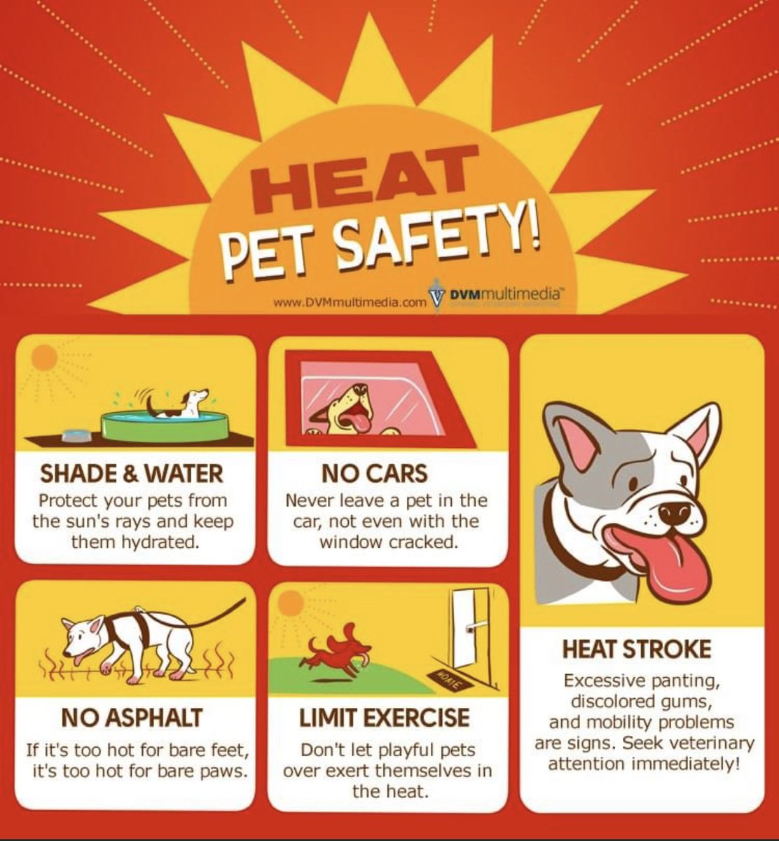 Please make sure you look out for your pets in this excessive heat and remember, their bare paws can burn on hot pavement! 

#toohot #petsafety #protectyourpets #TeamOCSO