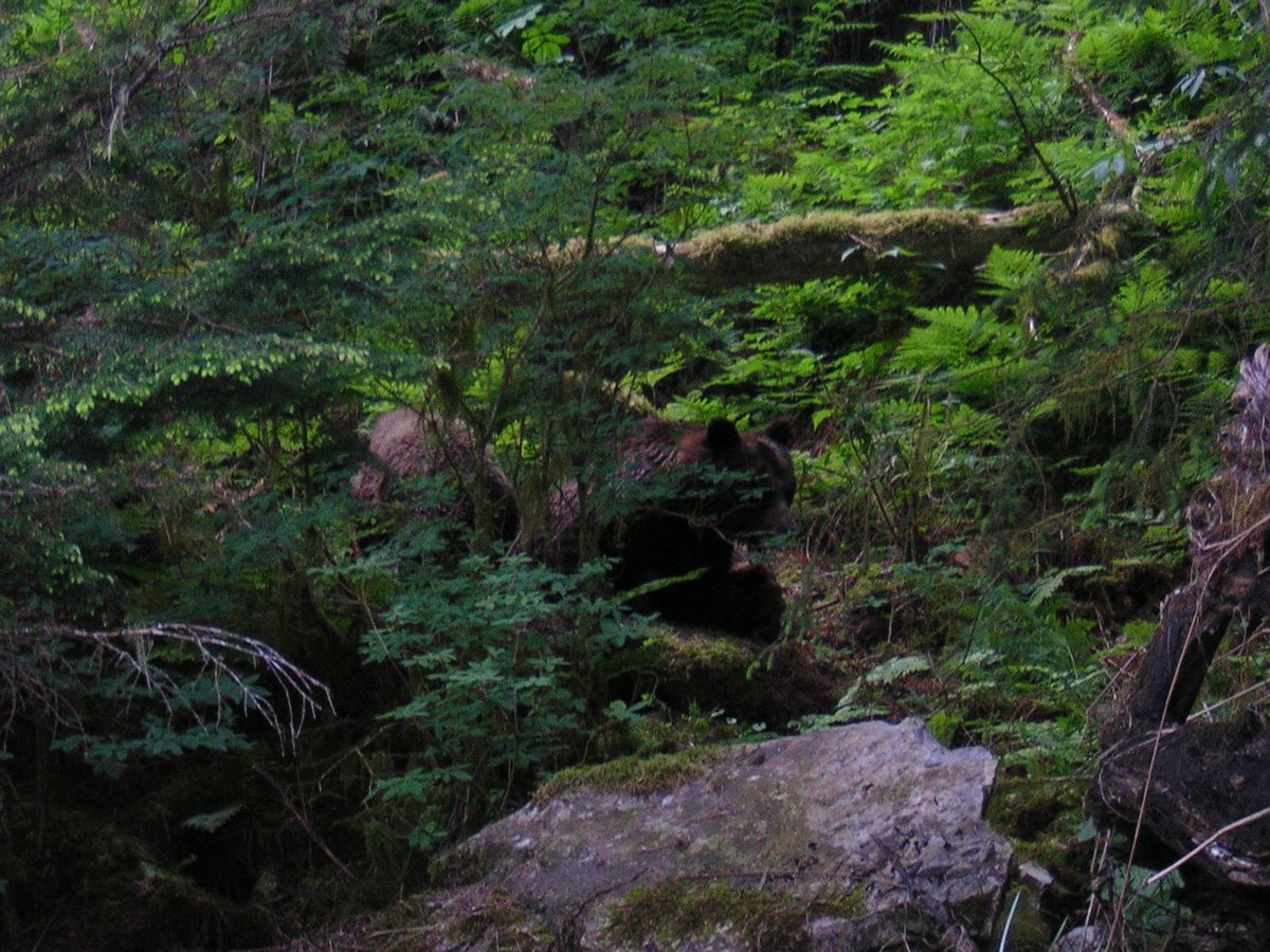 patrick. tweet media