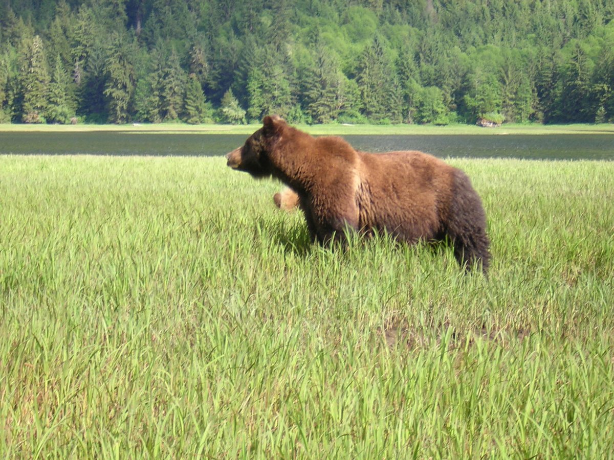 patrick. tweet media