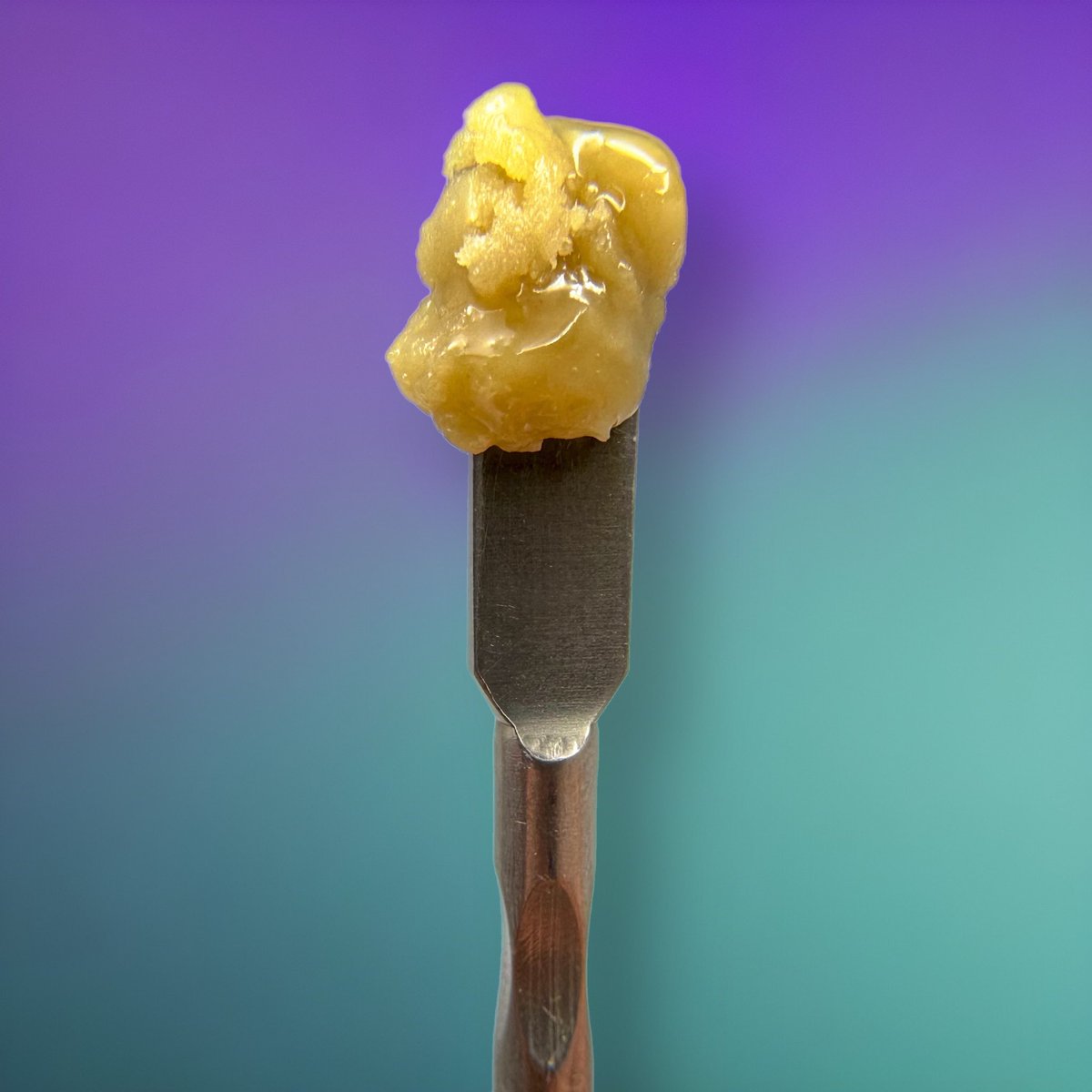 dabtoolpunks tweet media