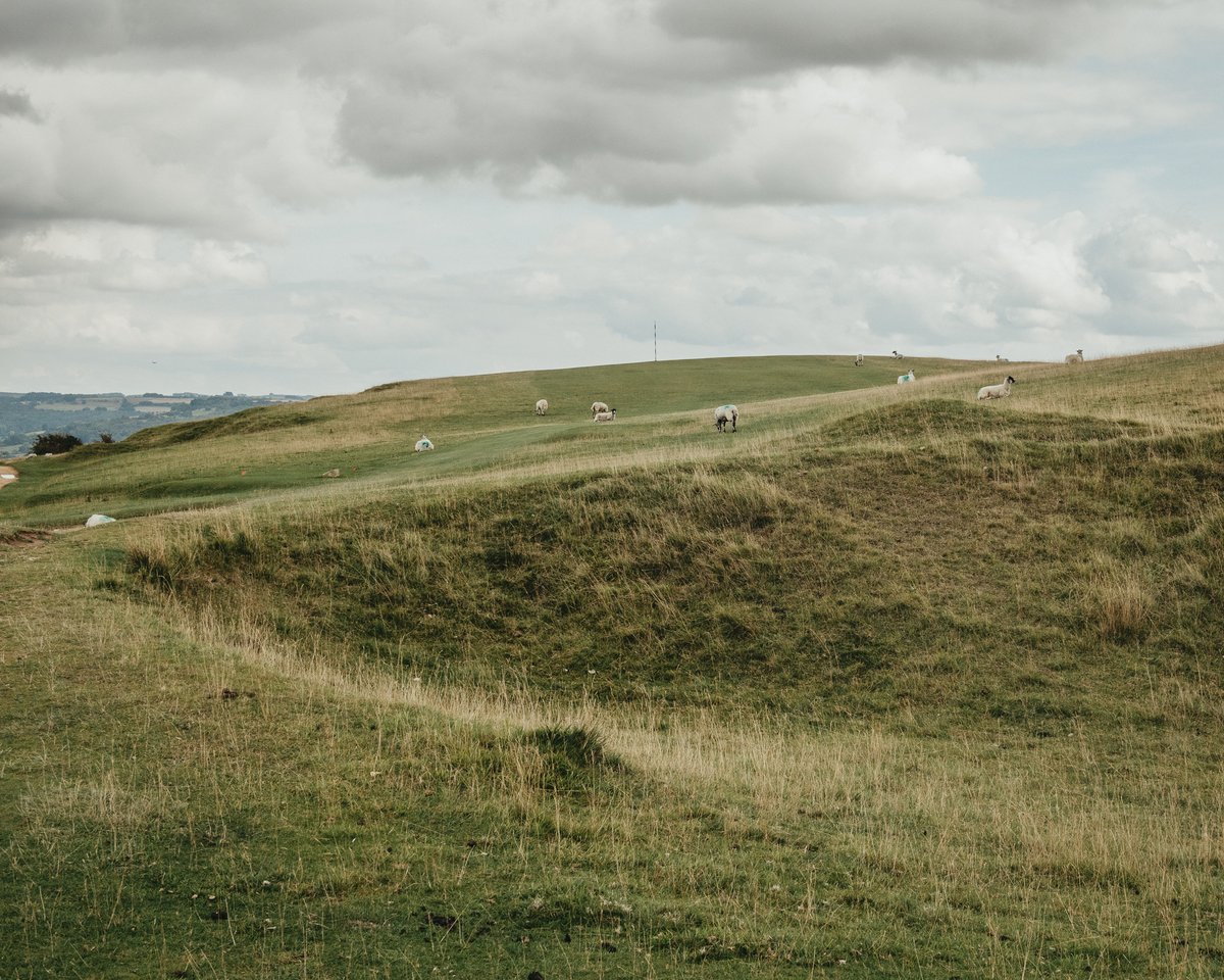 golfersimage's tweet photo. (5/5) Cleeve Hill

We are biased with our love for Cleeve Hill. Set out by Old Tom and some influence from Mackenzie, this common land course has quite rightly reached almost cult status amongst the golf architecture circles.

Green fee: £20-£45 https://t.co/Faz5URUpia