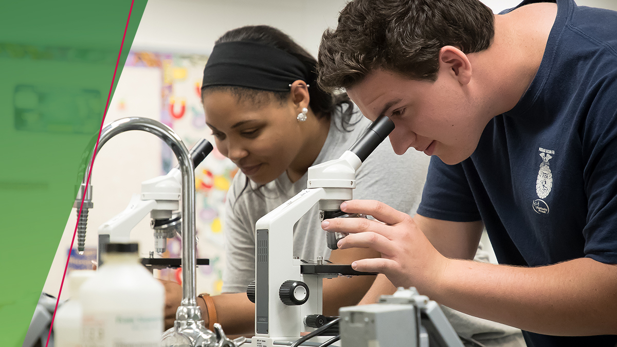 americasfarmers's tweet photo. It’s #backtoschool time! There are more than 59,000 job openings each year on average in ag for people with a college degree, ranging from positions in government to #STEM and plant science. Encourage a student to check out all that a career in #ag can offer this school year! https://t.co/WkpbVKFDc9