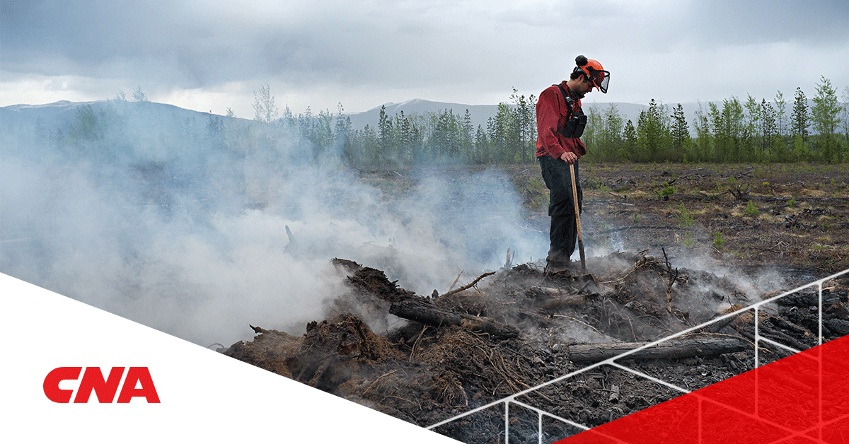 CNA Insurance tweet media