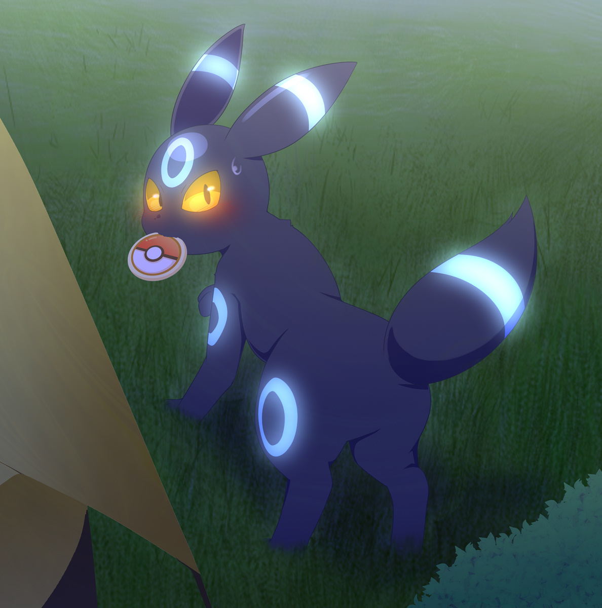 夜食のポケサブレを失敬しようとするブラッキー
